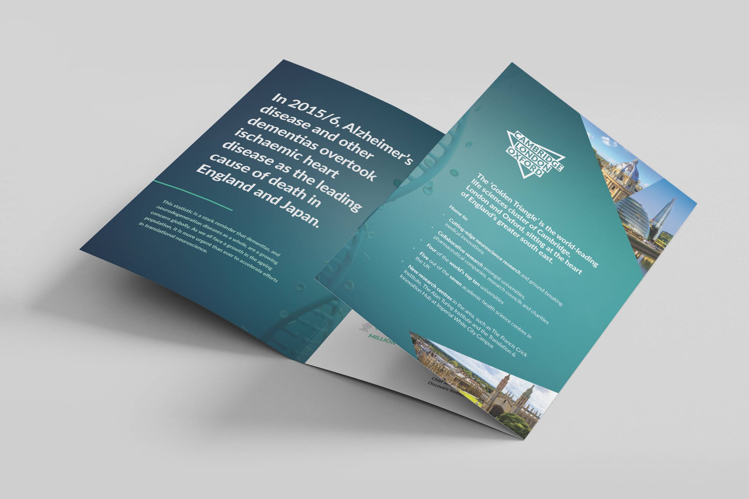 Leaflet 2.jpg