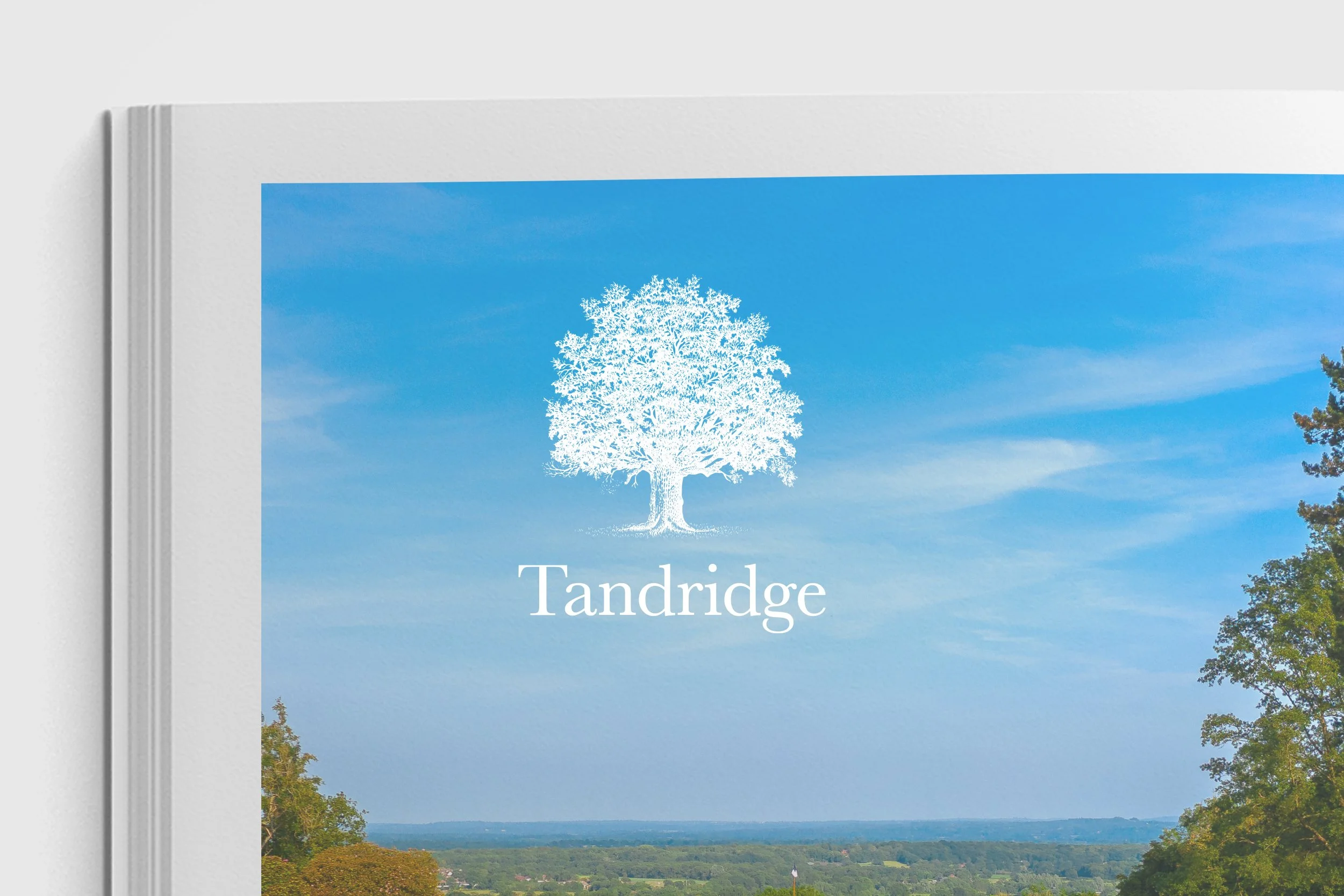 TGC Gallery Shot_3.jpg