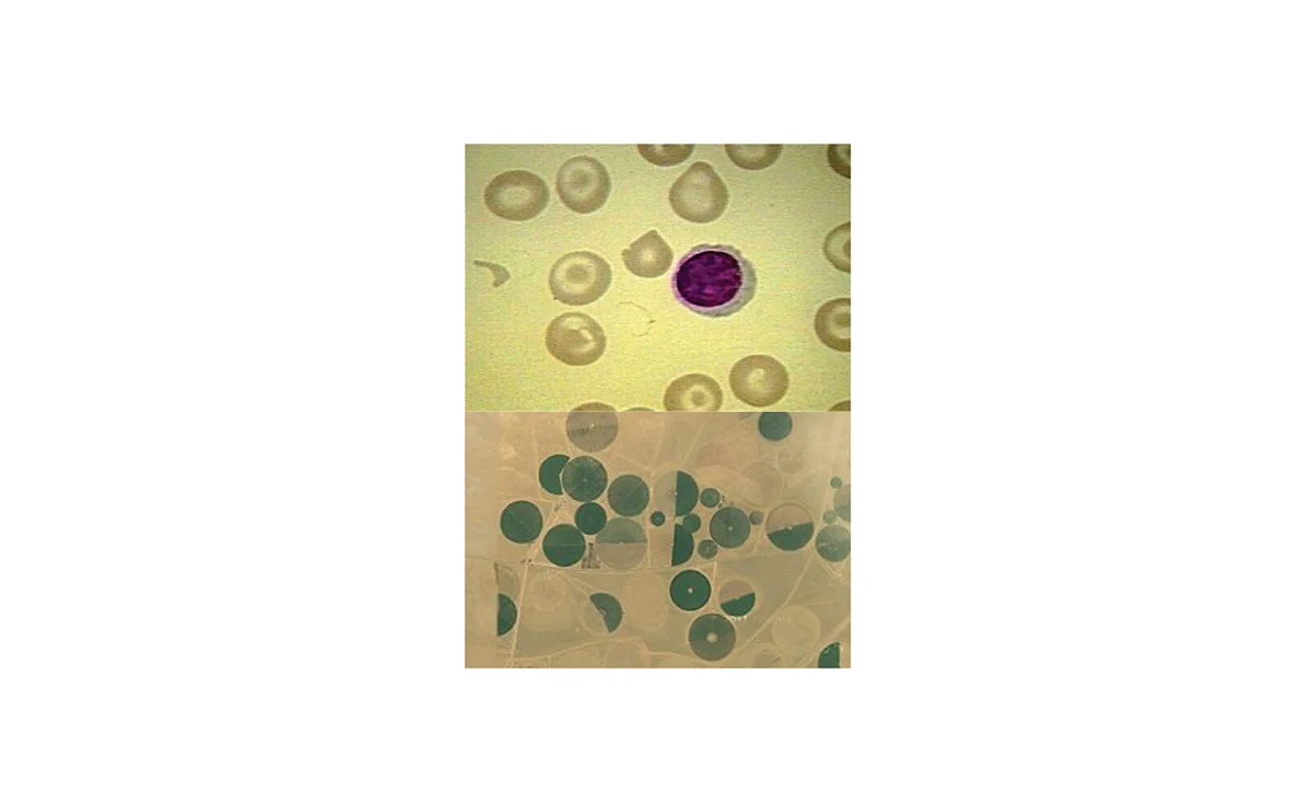 66eeba25959999.55ff2add5e94d.jpg