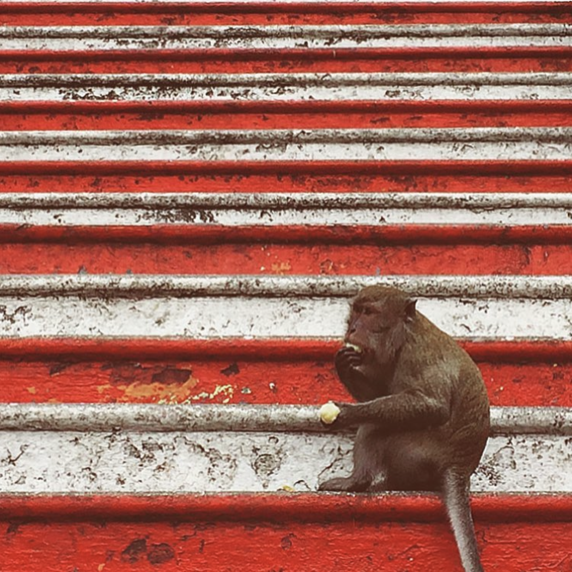 Screenshot 2023-06-28 at 3.39.31 AM.png