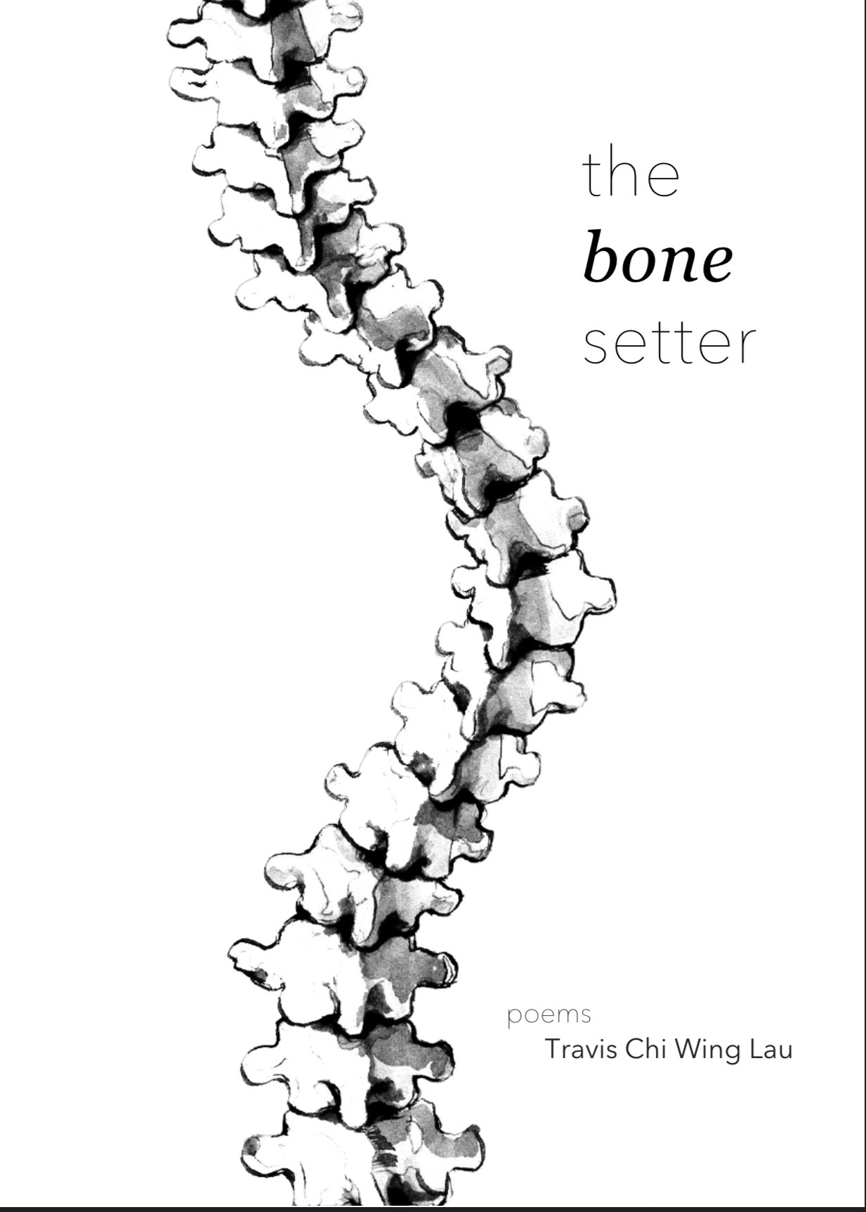 Cover art for The Bone Setter.