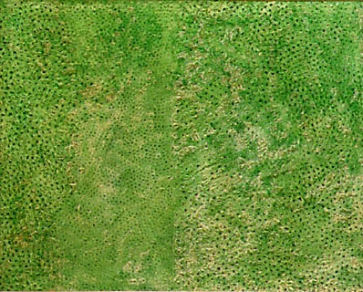 yayoi green forest girl.jpg