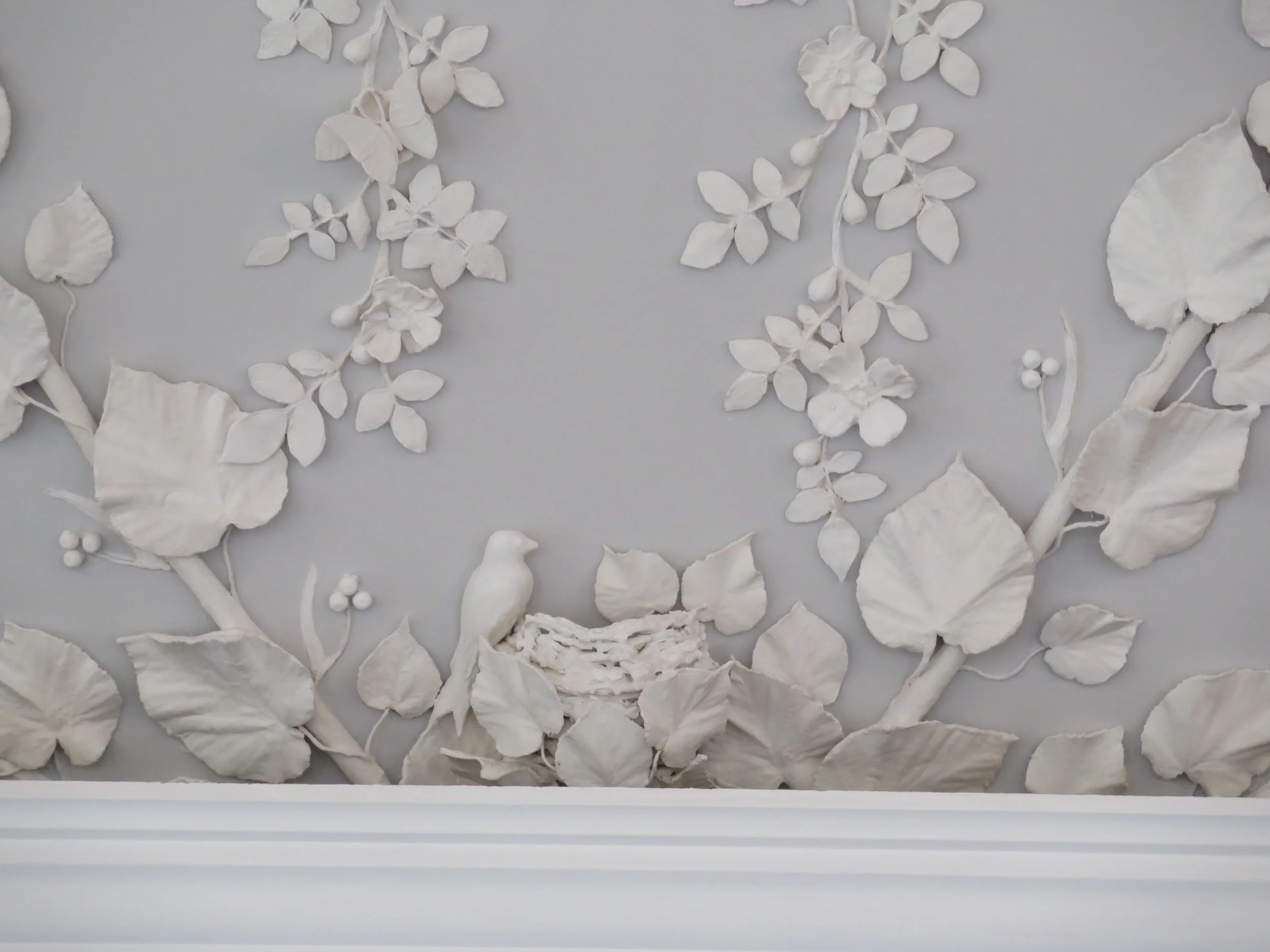 jobson moore birds nest.JPG