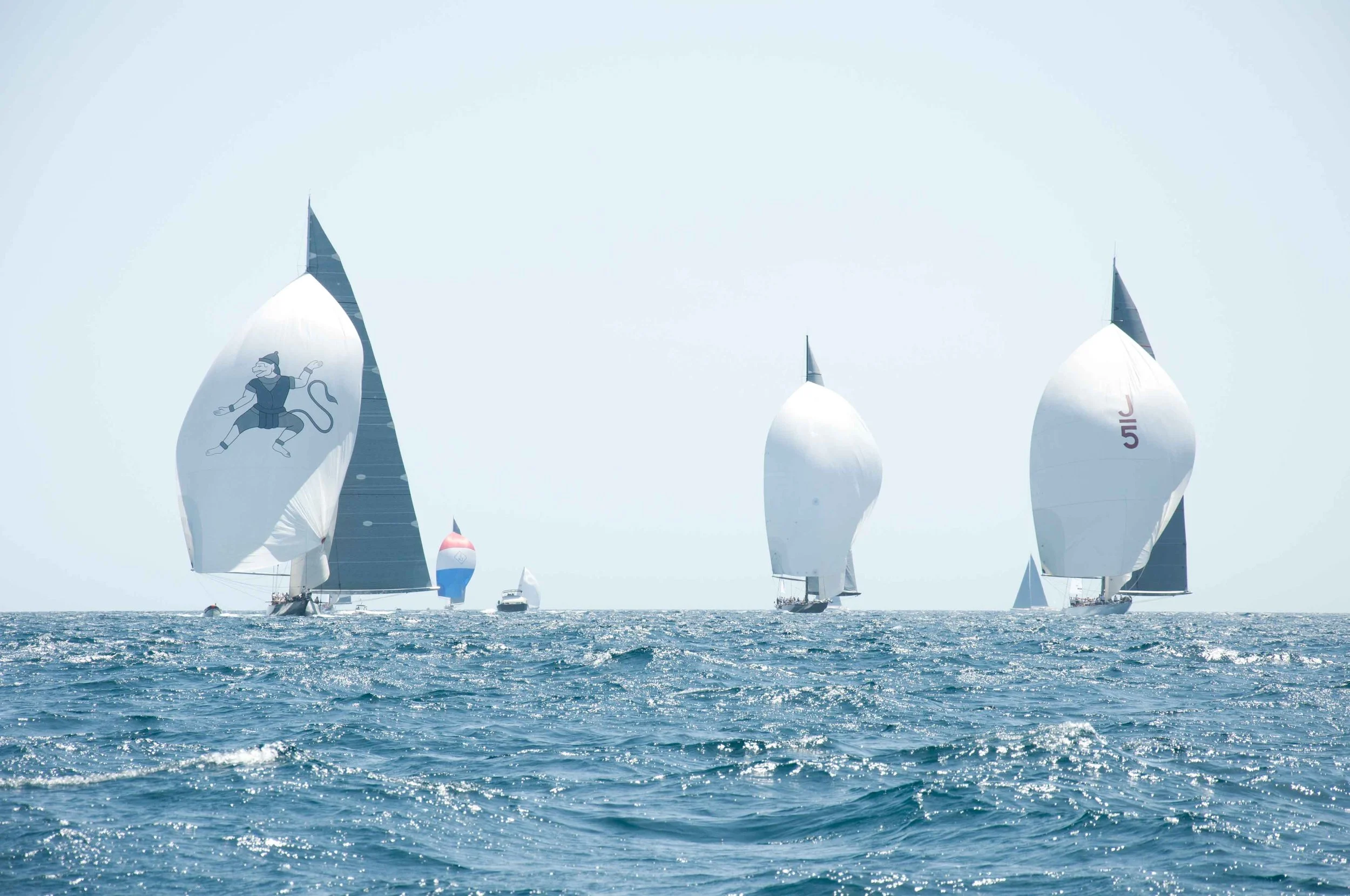 2014 J Class Regatta Palma-22.jpg