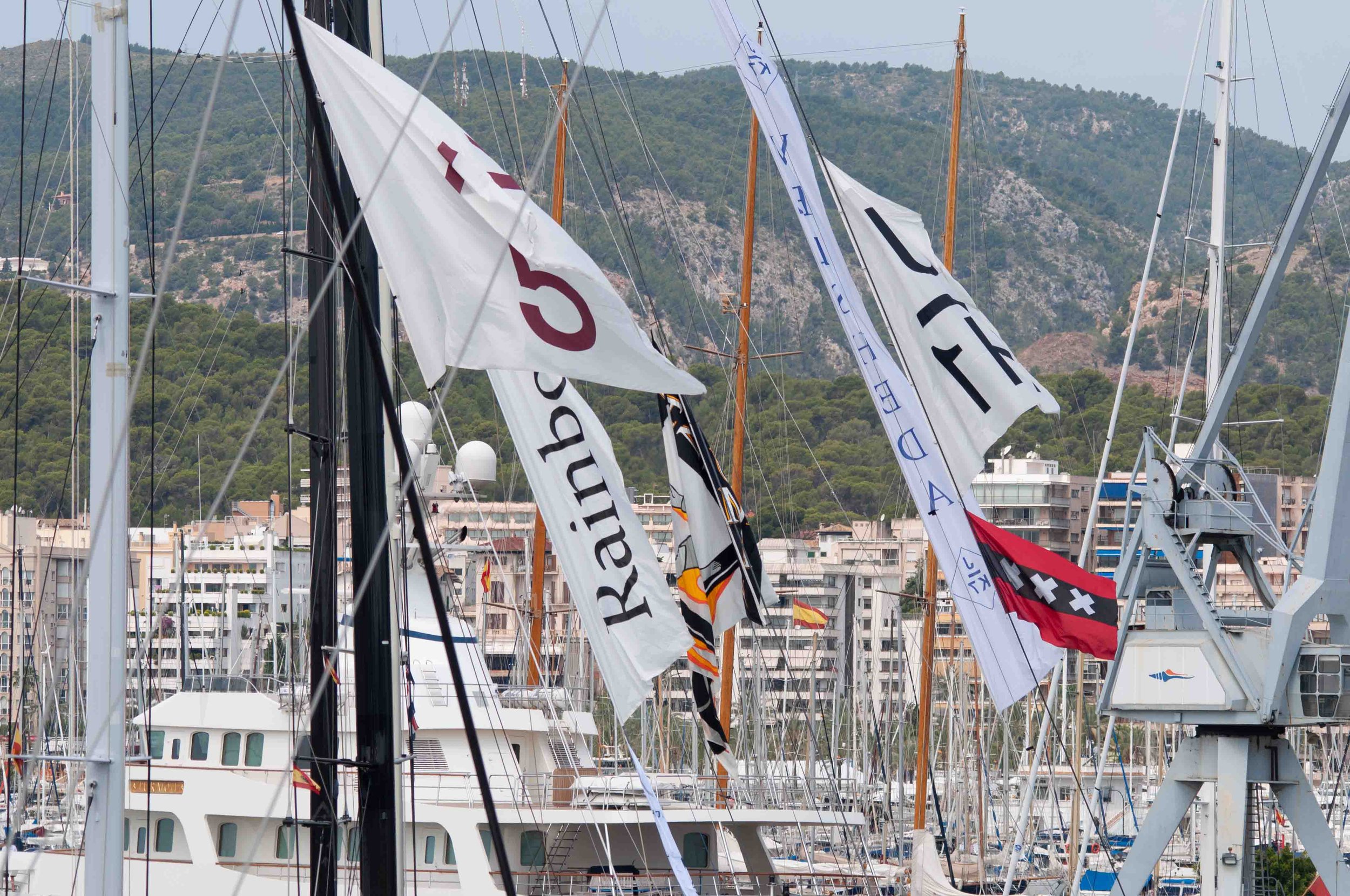 2014 J Class Regatta Palma-42.jpg