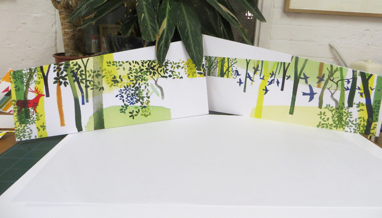 Presentation boards imagining how the central ward might work with the two walls facing each other.