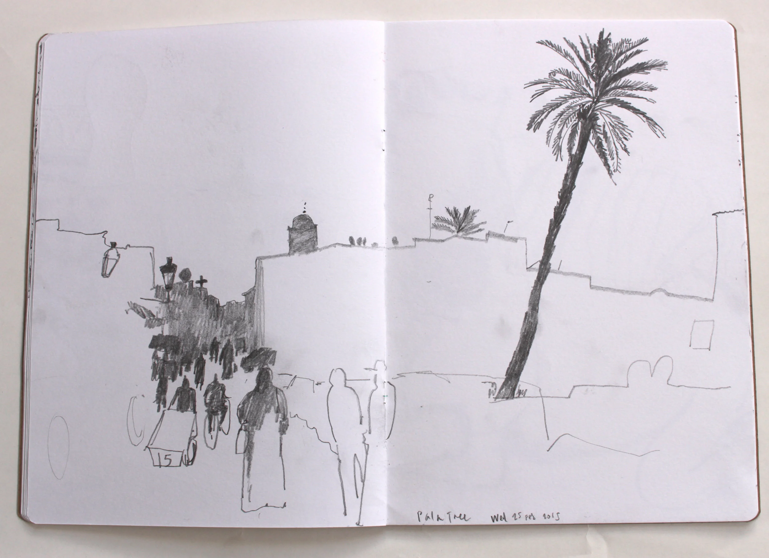 Palm tree.jpg
