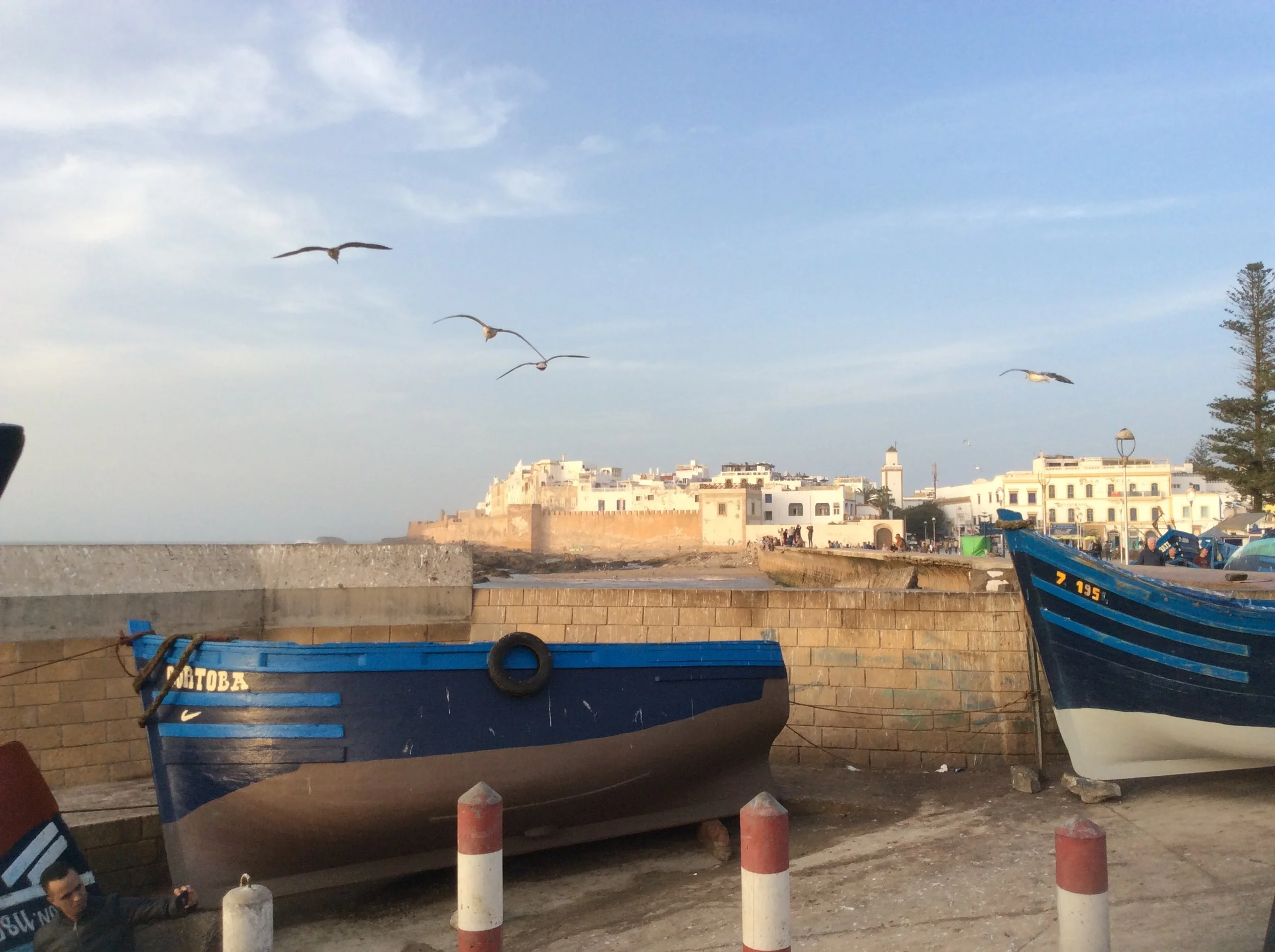 IMG_7046.jpeg