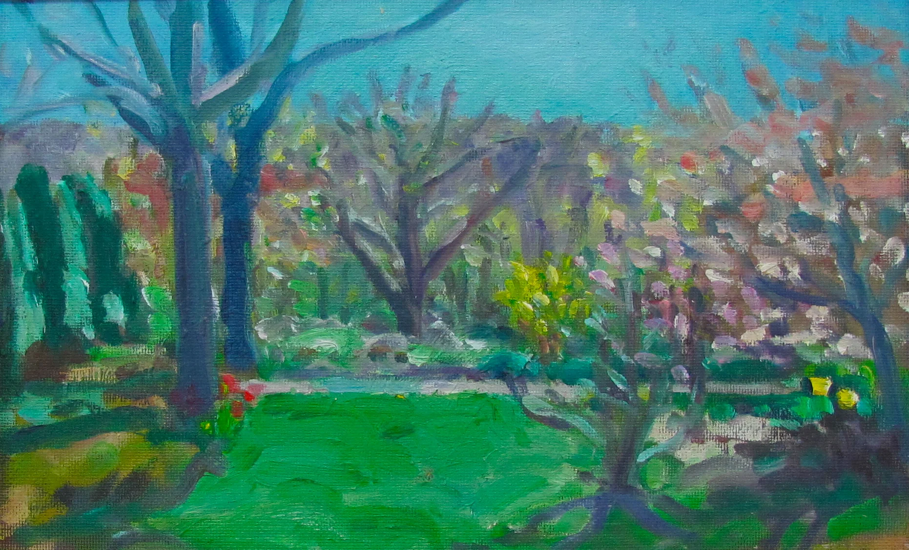 Forsythia and Dogwood