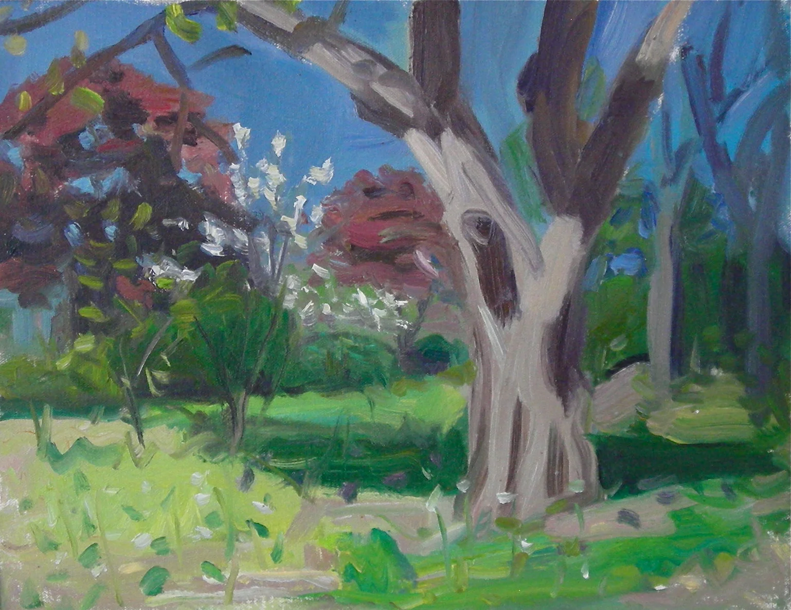 Chestnut in Spring