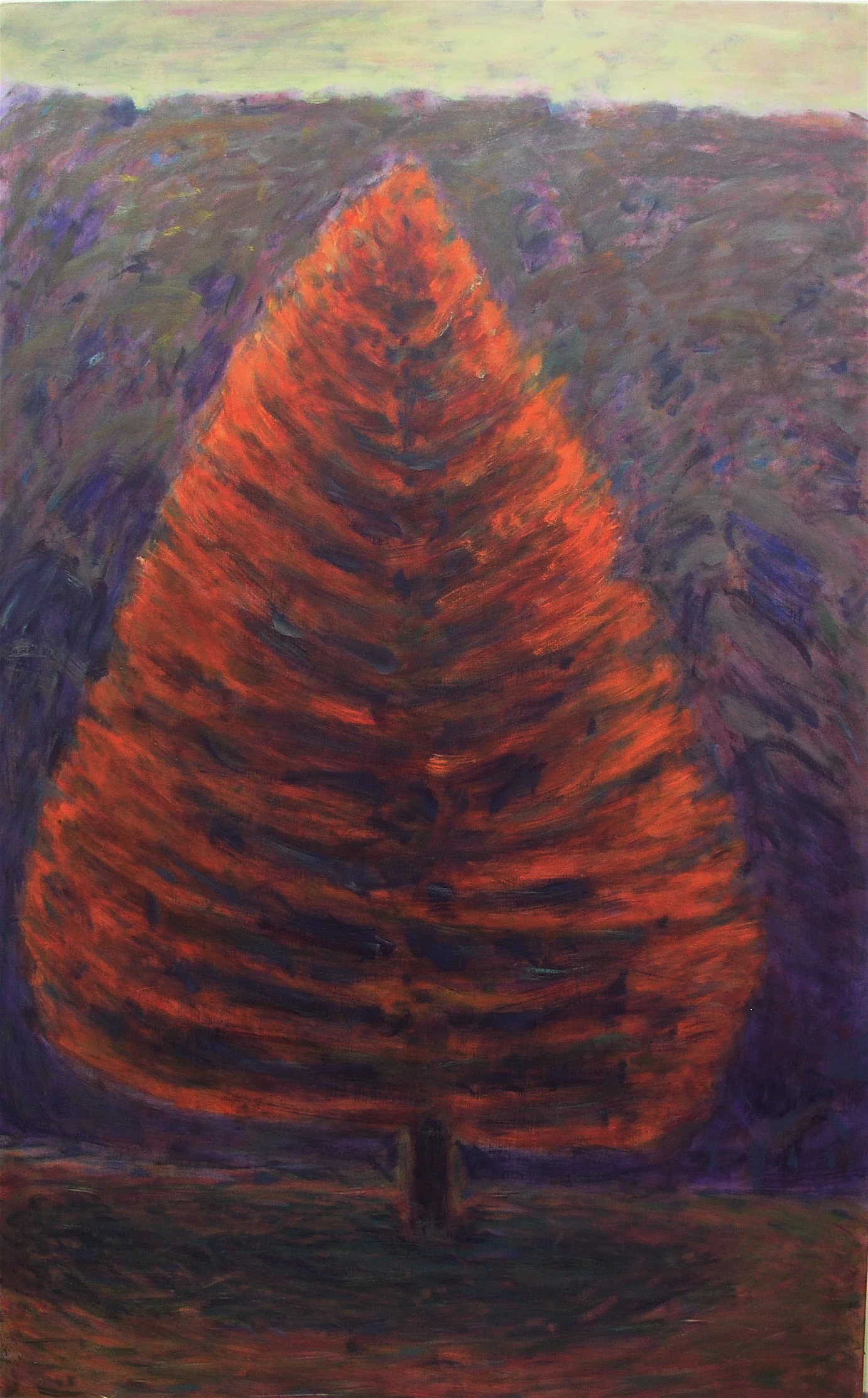Orange Tree