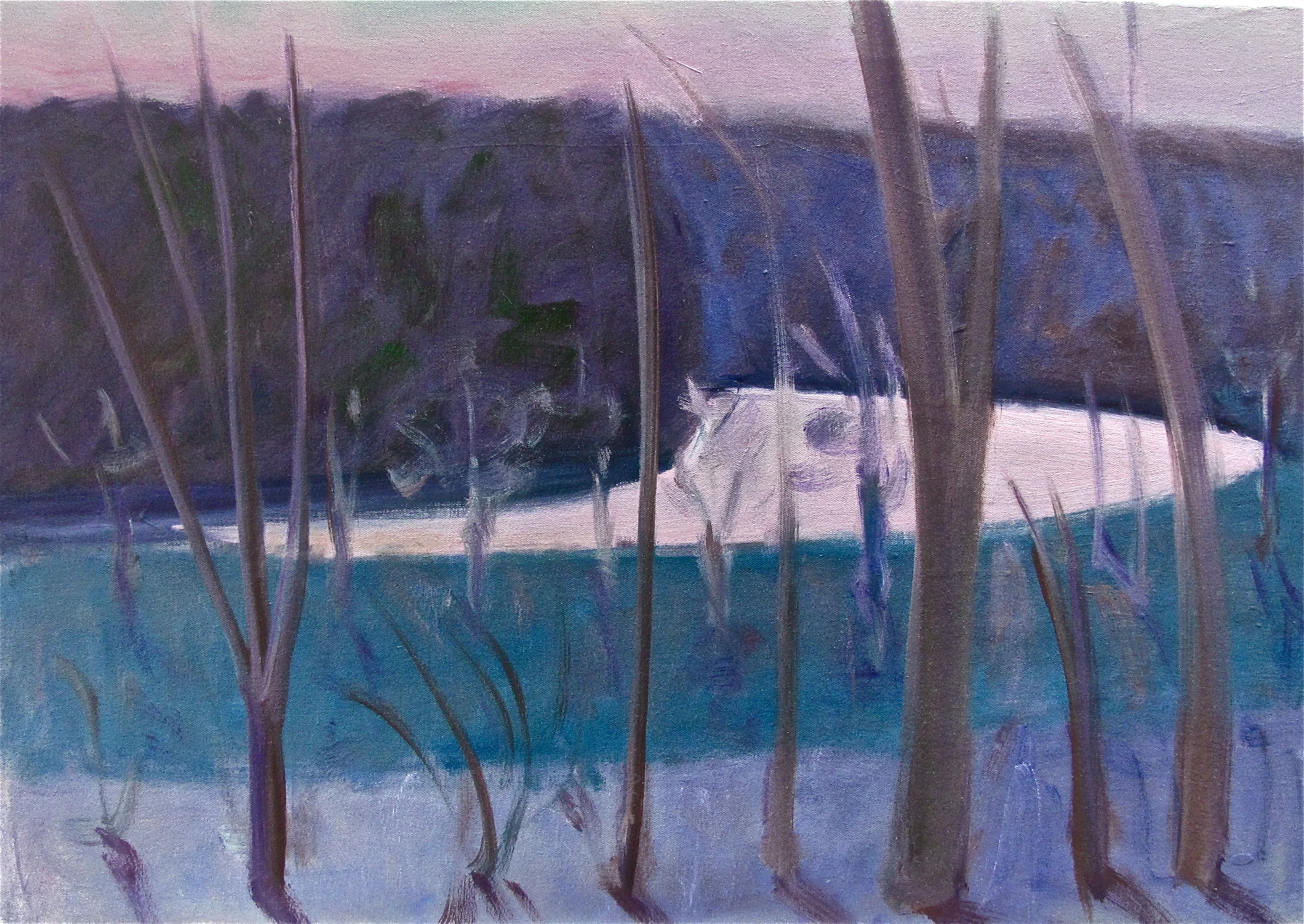 Winter Twilight