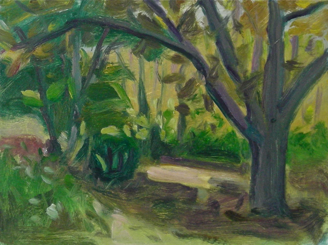 Chestnut in Woodsy Garden
