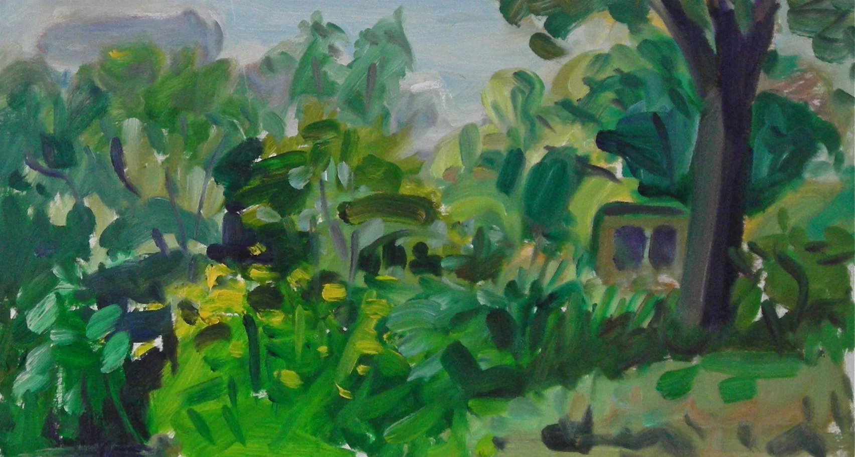 View Across Meadow to Studio