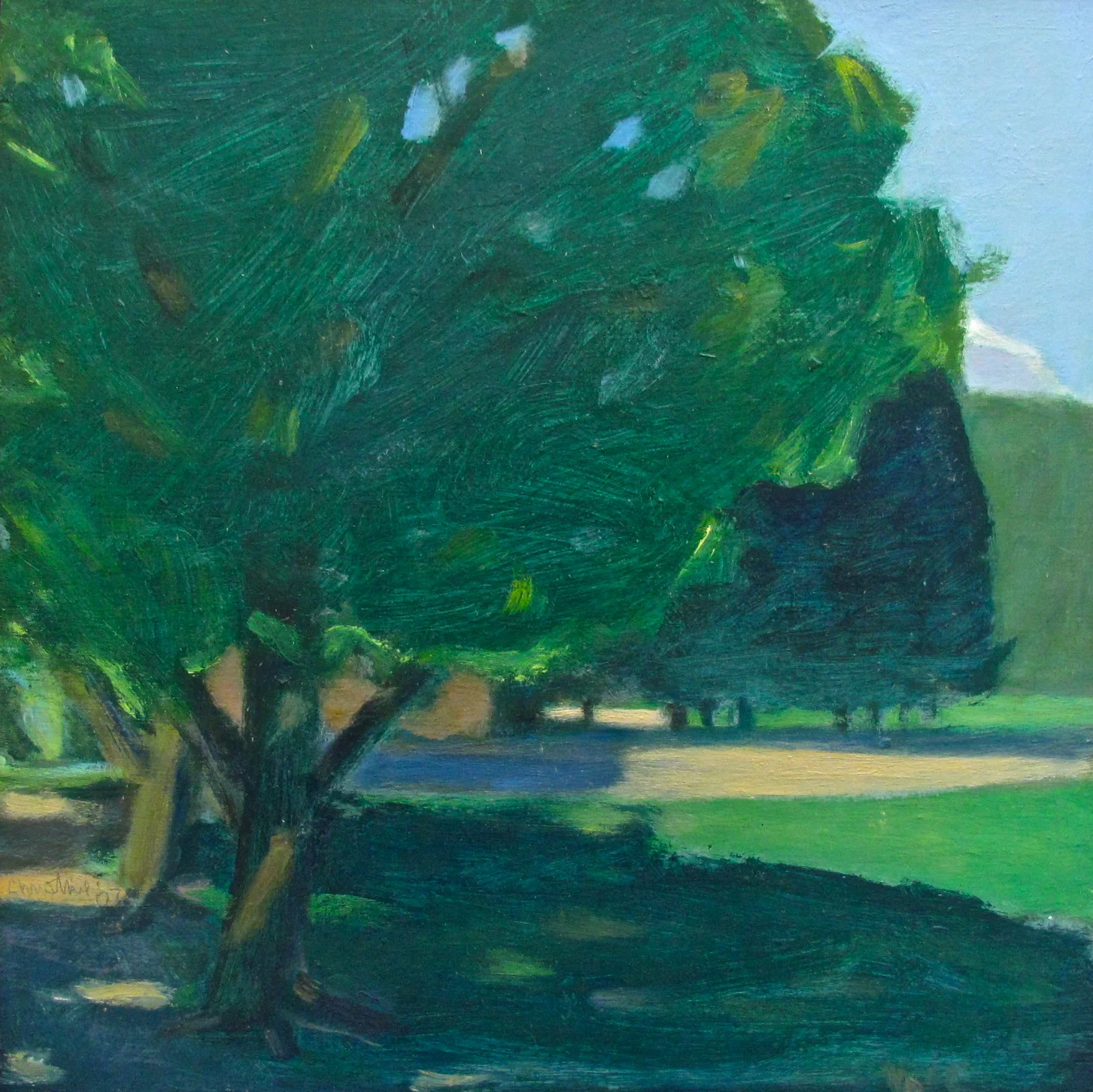Big Tree at Peter's