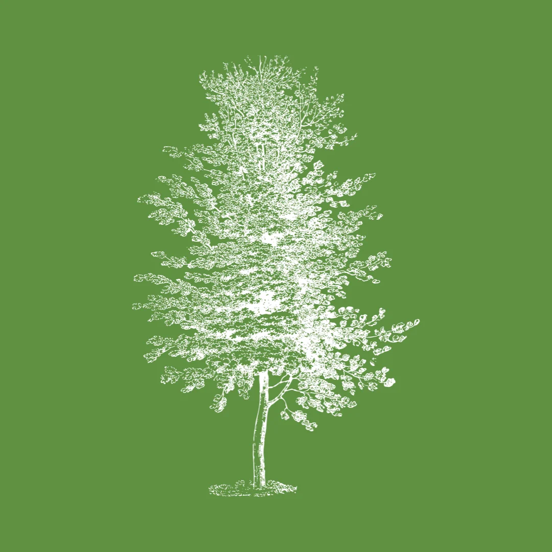 Green - Polluting and Protecting