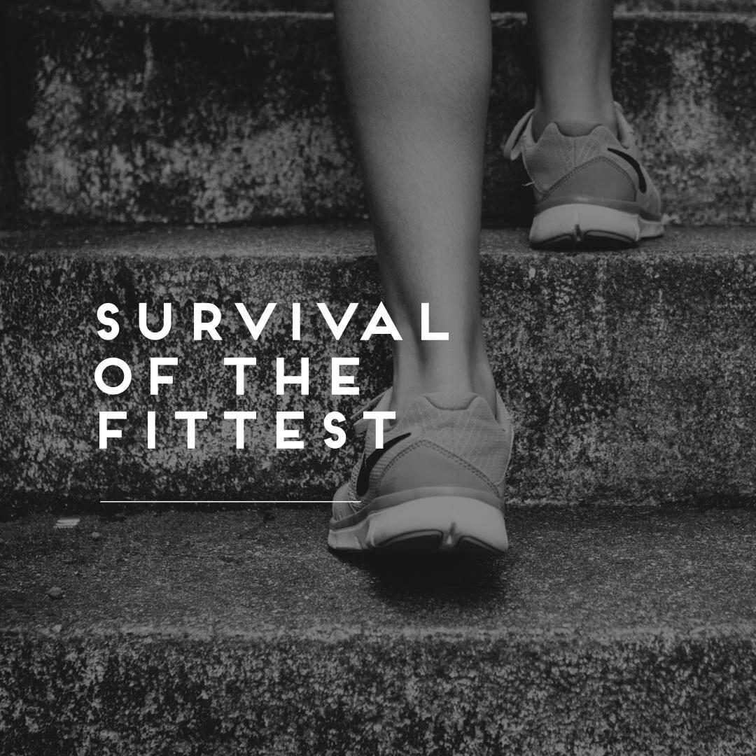 Survival of the Fittest 