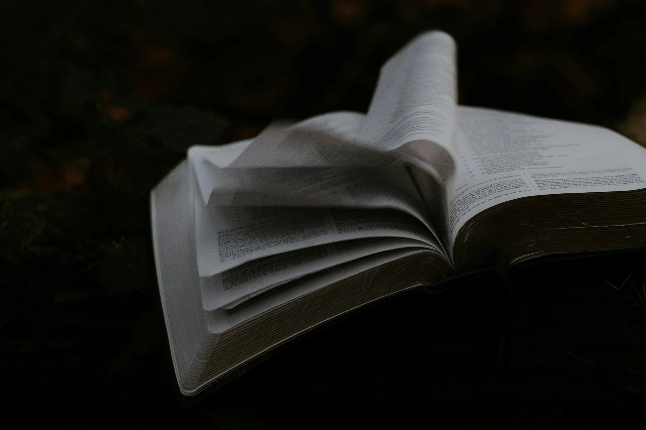 Speaking the Truth, In Love