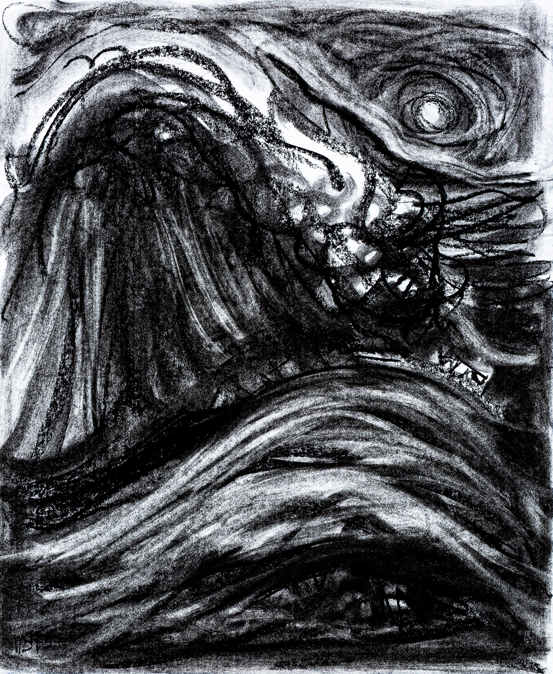Rogue Wave, 2019 - charcoal on paper, 14x17in