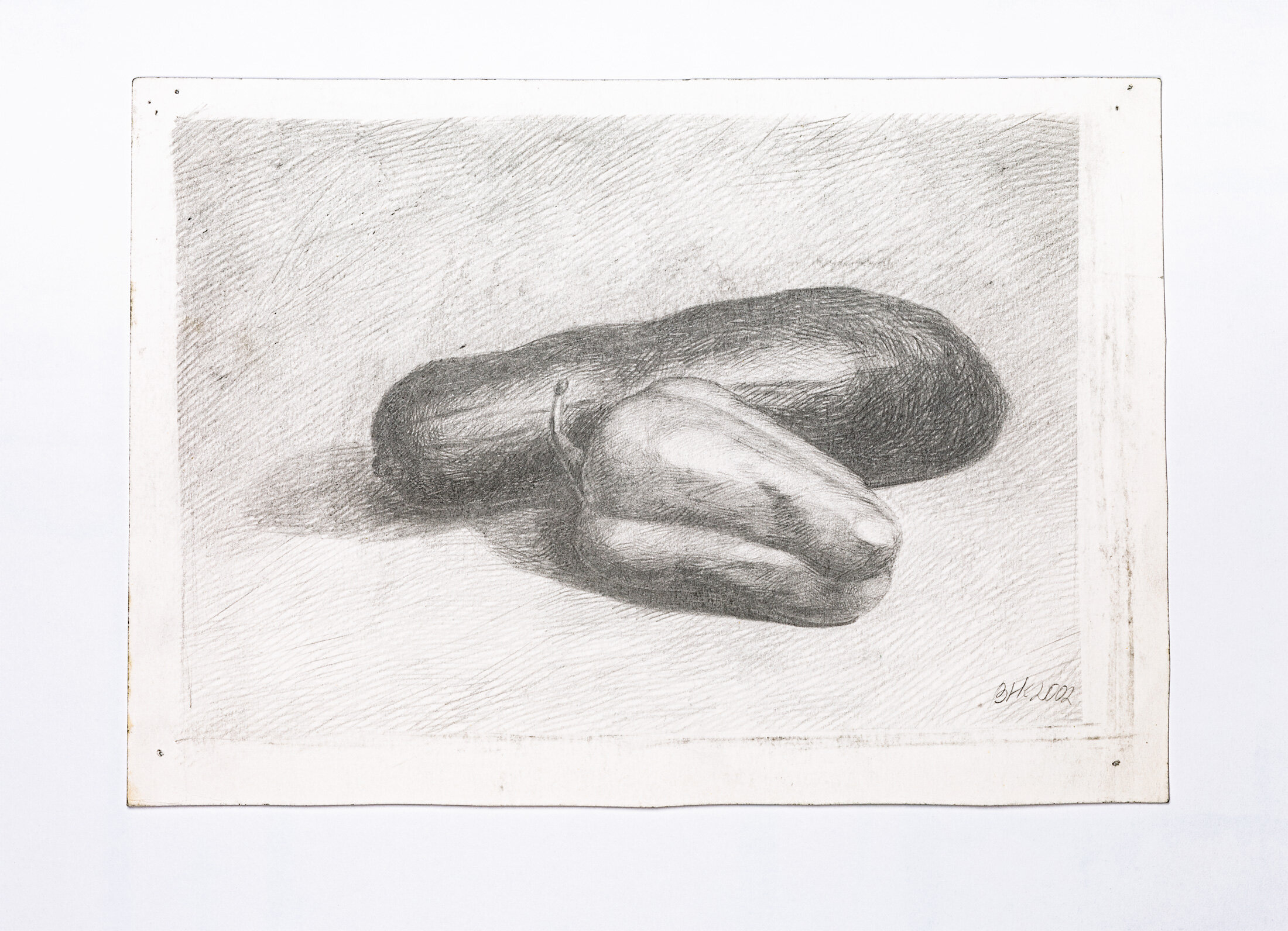 Still Life with Pepper and Zucchini, 2002 - graphite pencil on paper 