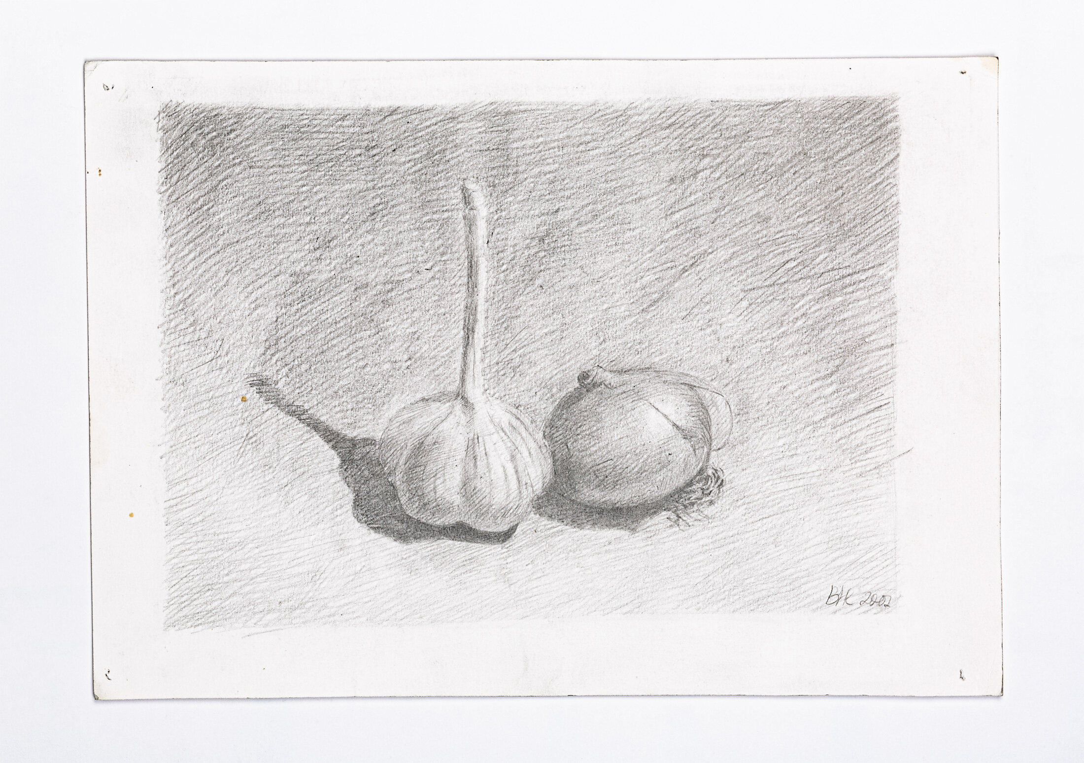 Still Life with Garlic and Onion, 2002 - graphite pencil on paper