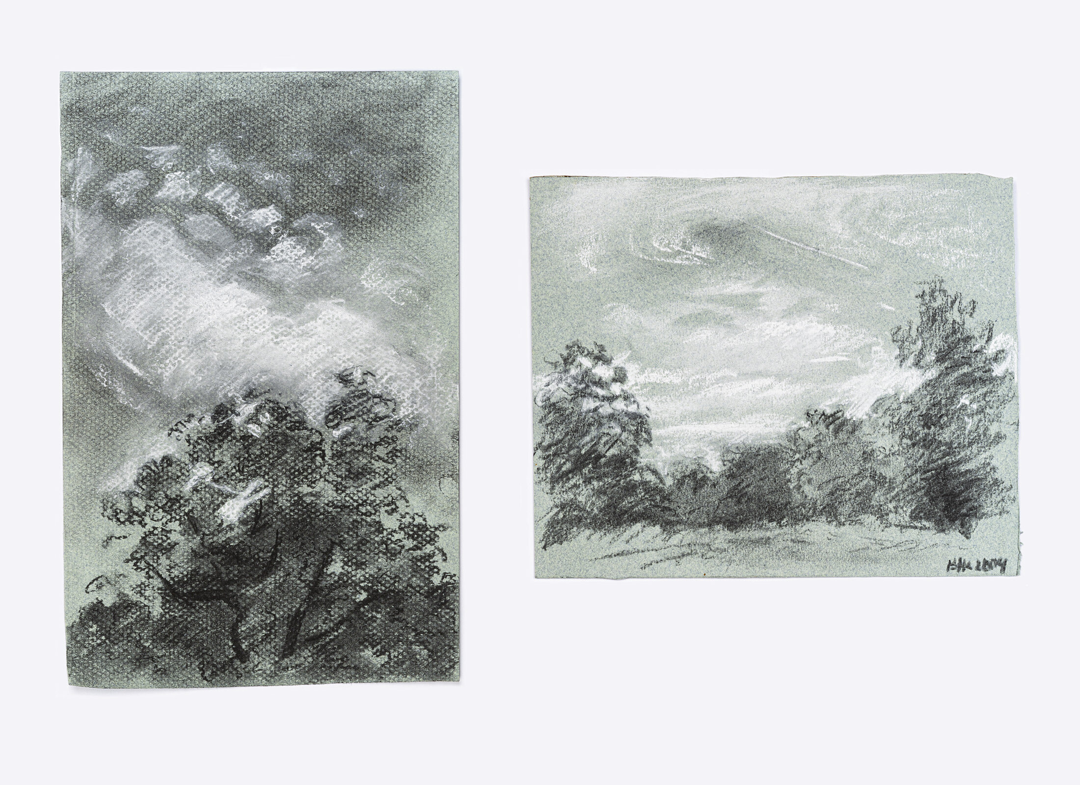 Landscapes with Trees and Clouds, 2004 - charcoal and pastel on toned pastel paper