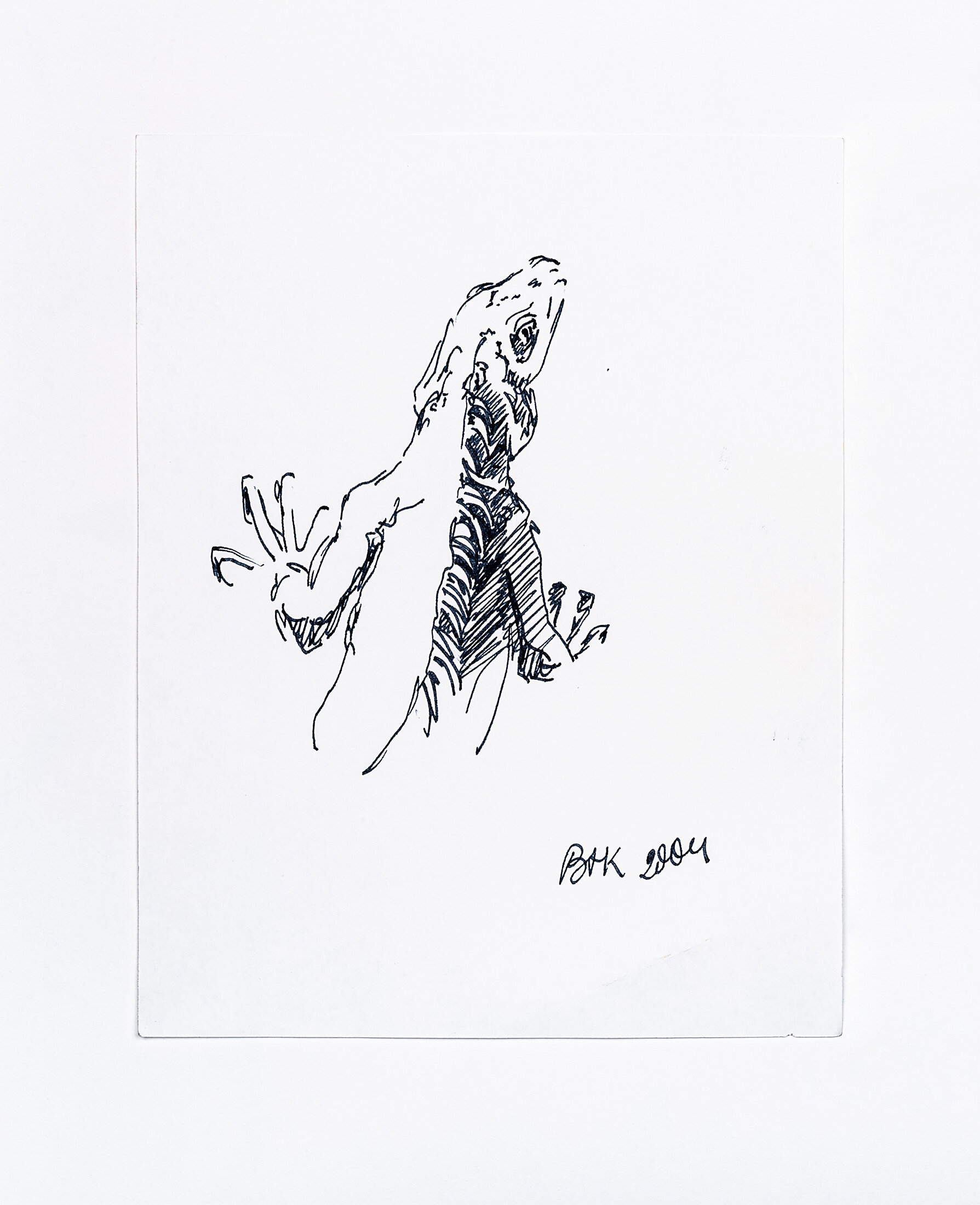 Study of a Lizard, 2004 - ink on paper