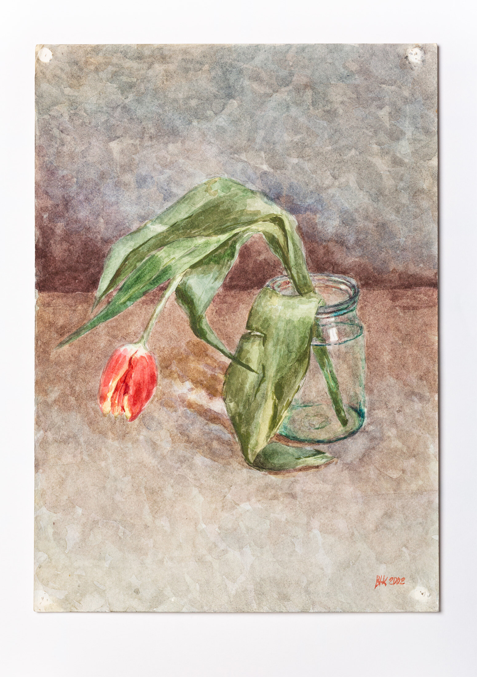 Tulip in a Jar, 2002 - pencil and watercolor on paper