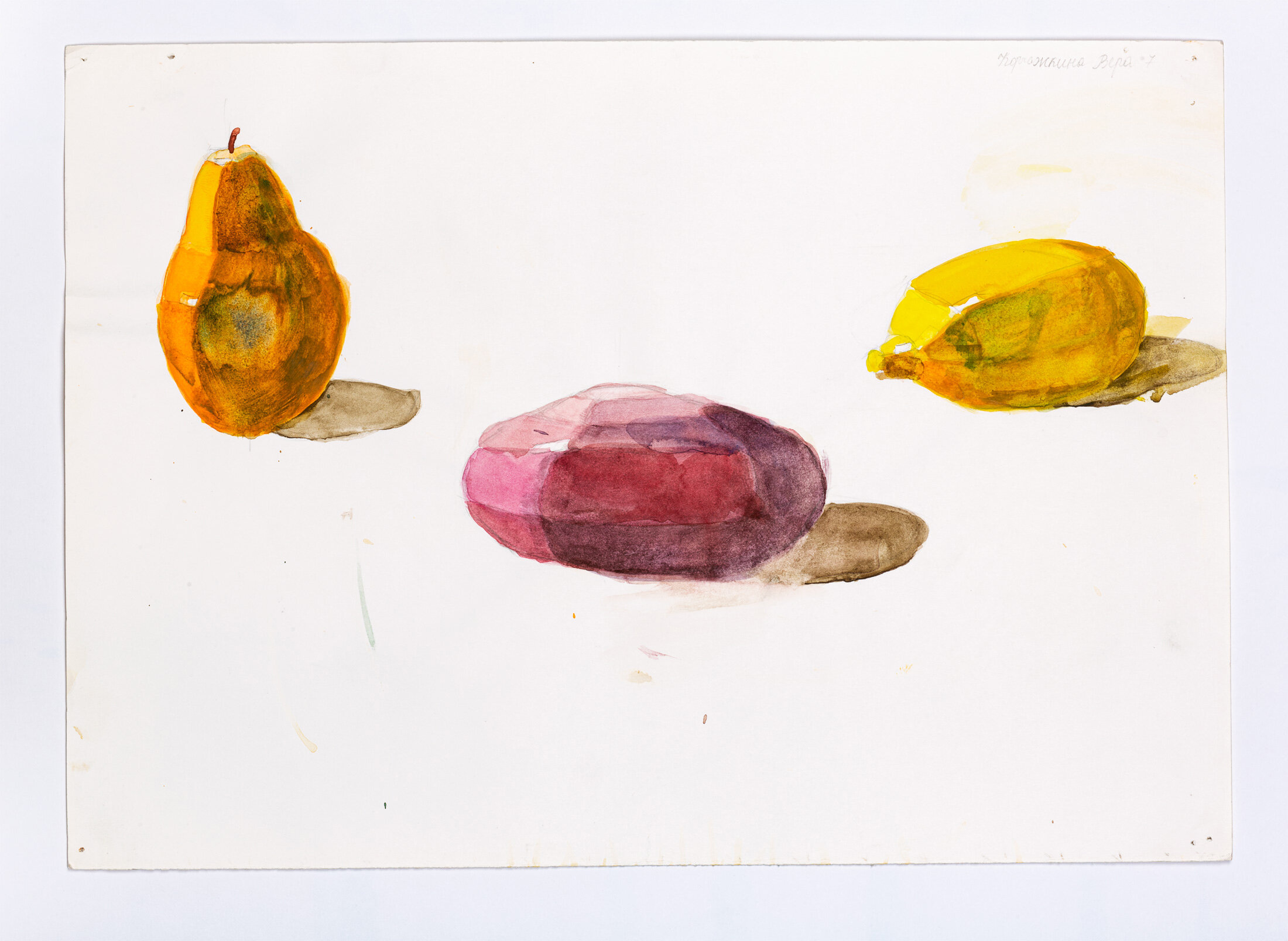 Study of Wax Fruits, 1999 - watercolor on paper