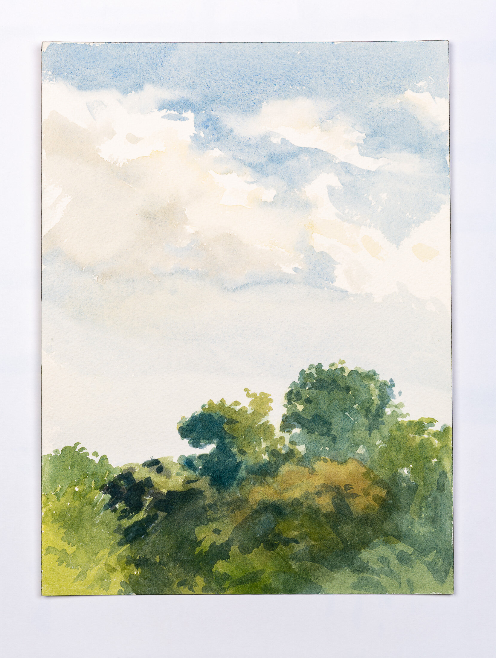 Clouds over Trees, 2013 - watercolor on paper
