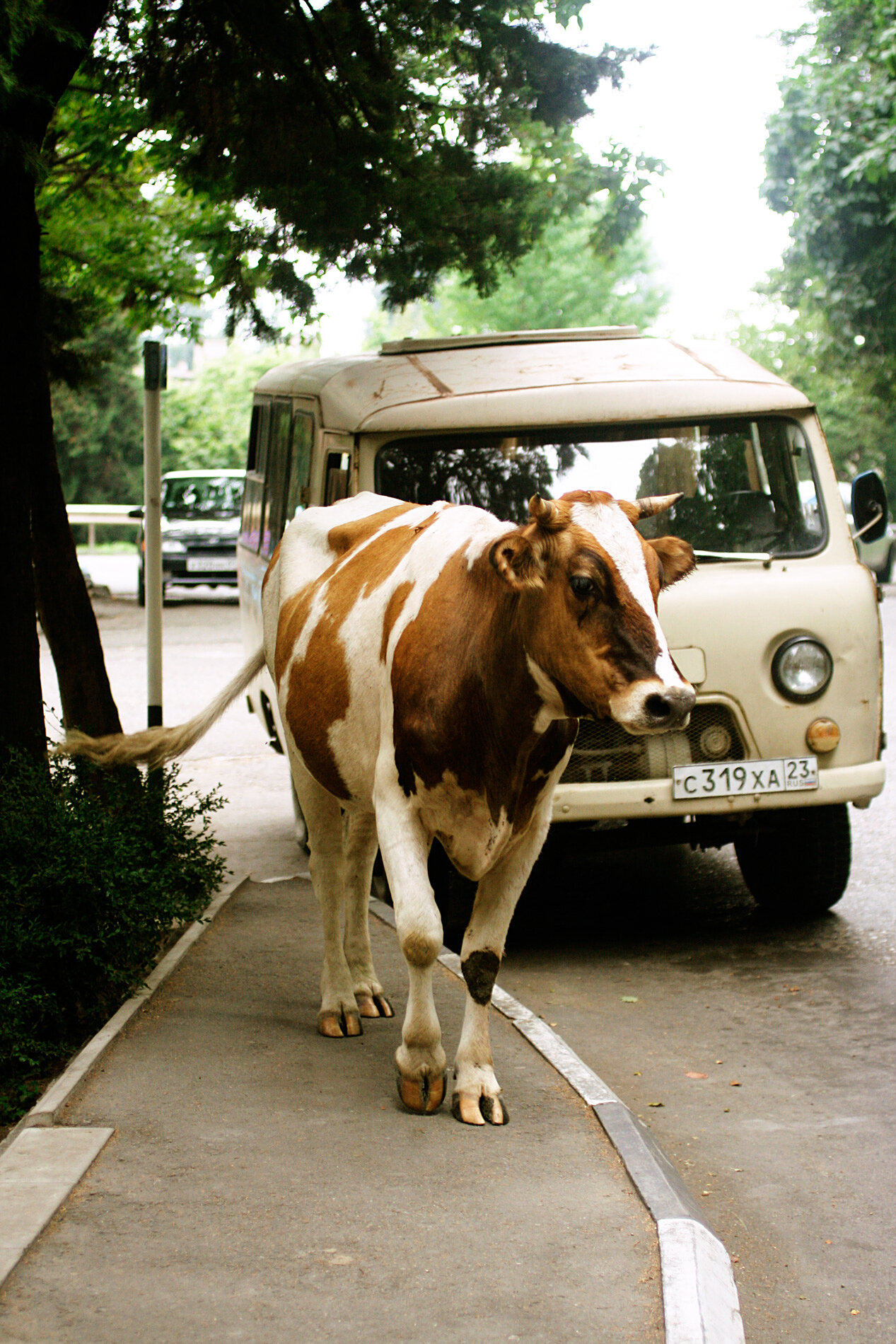 Village Street, 2008 - Golovinka, Russia