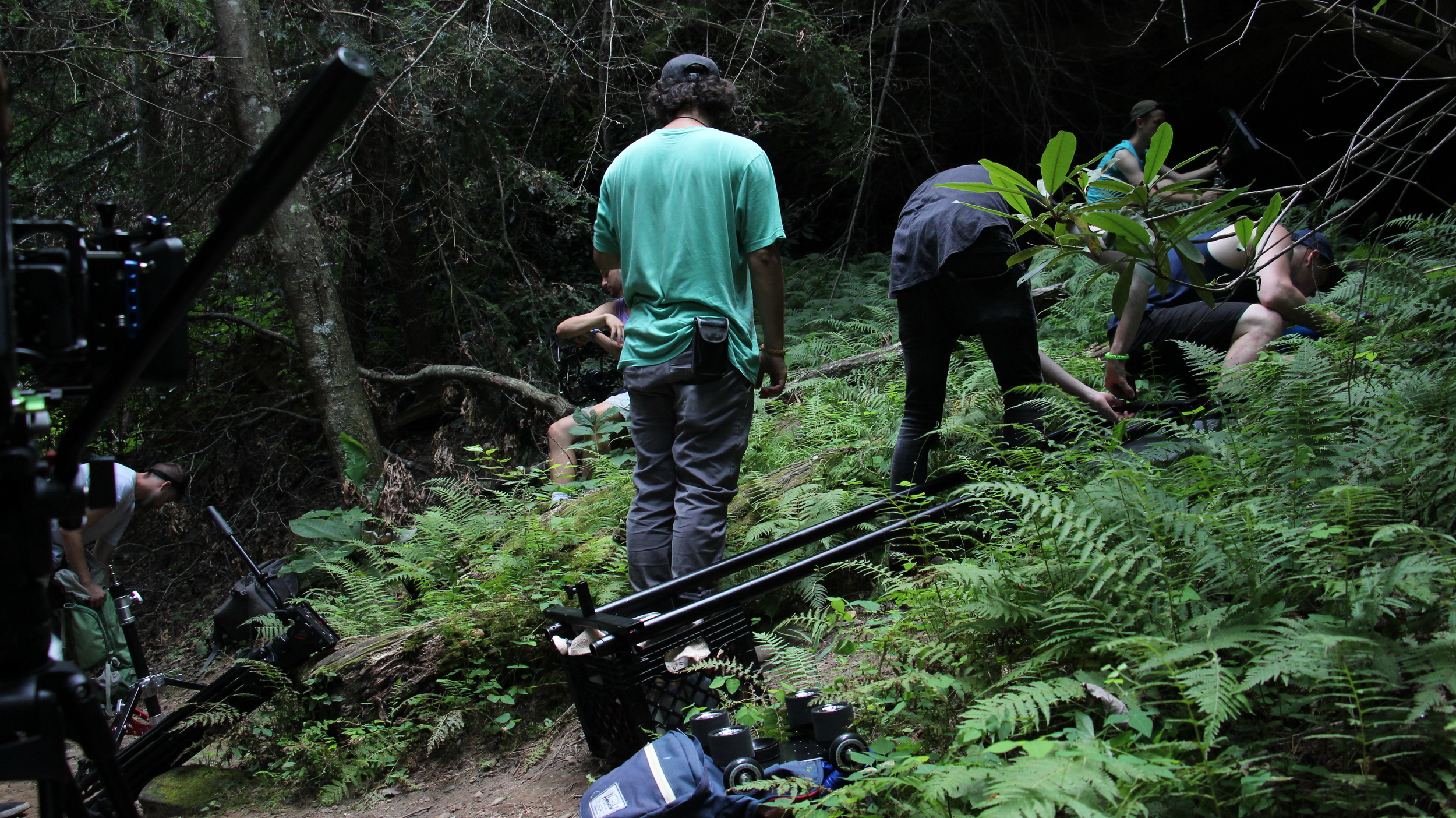 Setting up the slider with some Jurassic looking plants.
