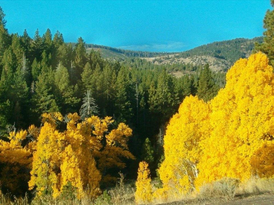 Modoc National Forest