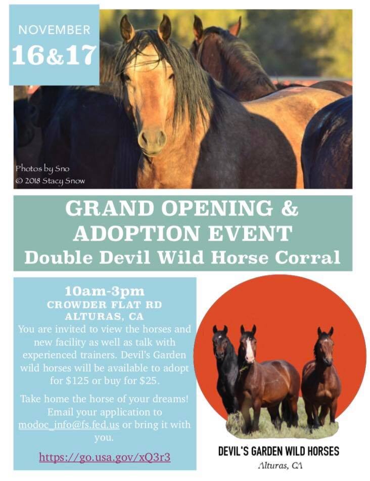 Devils Garden Adoption Event.jpg