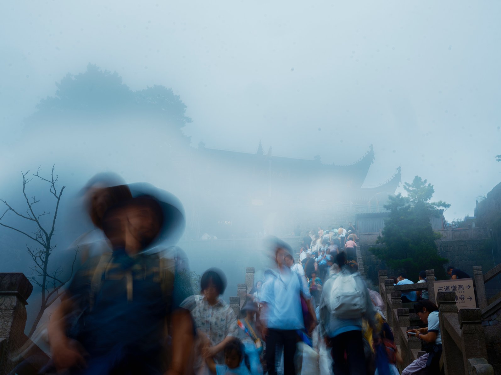RB220826-AnhuiPhotographySeason-9113.jpg