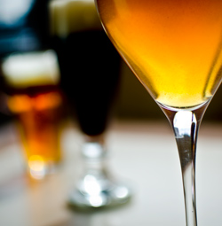 craftbeer.com