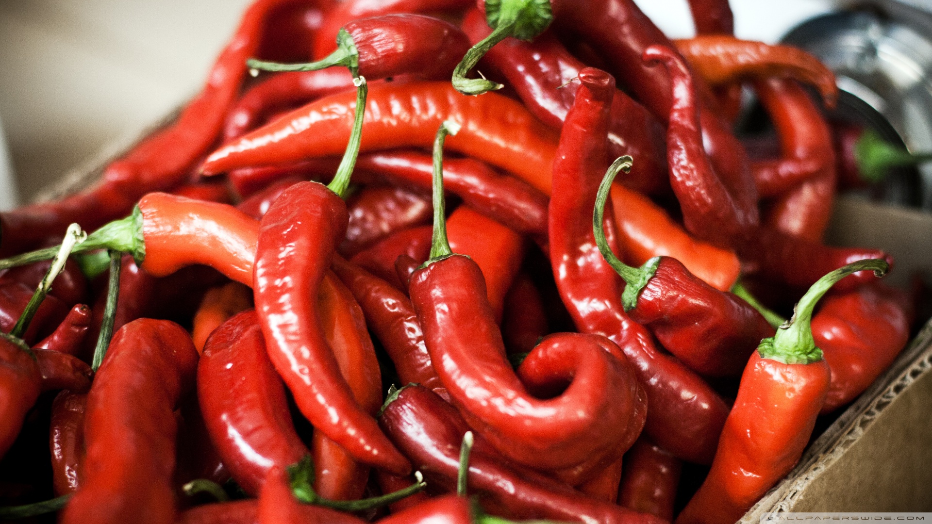 hot-peppers-wallpaper-1.jpg