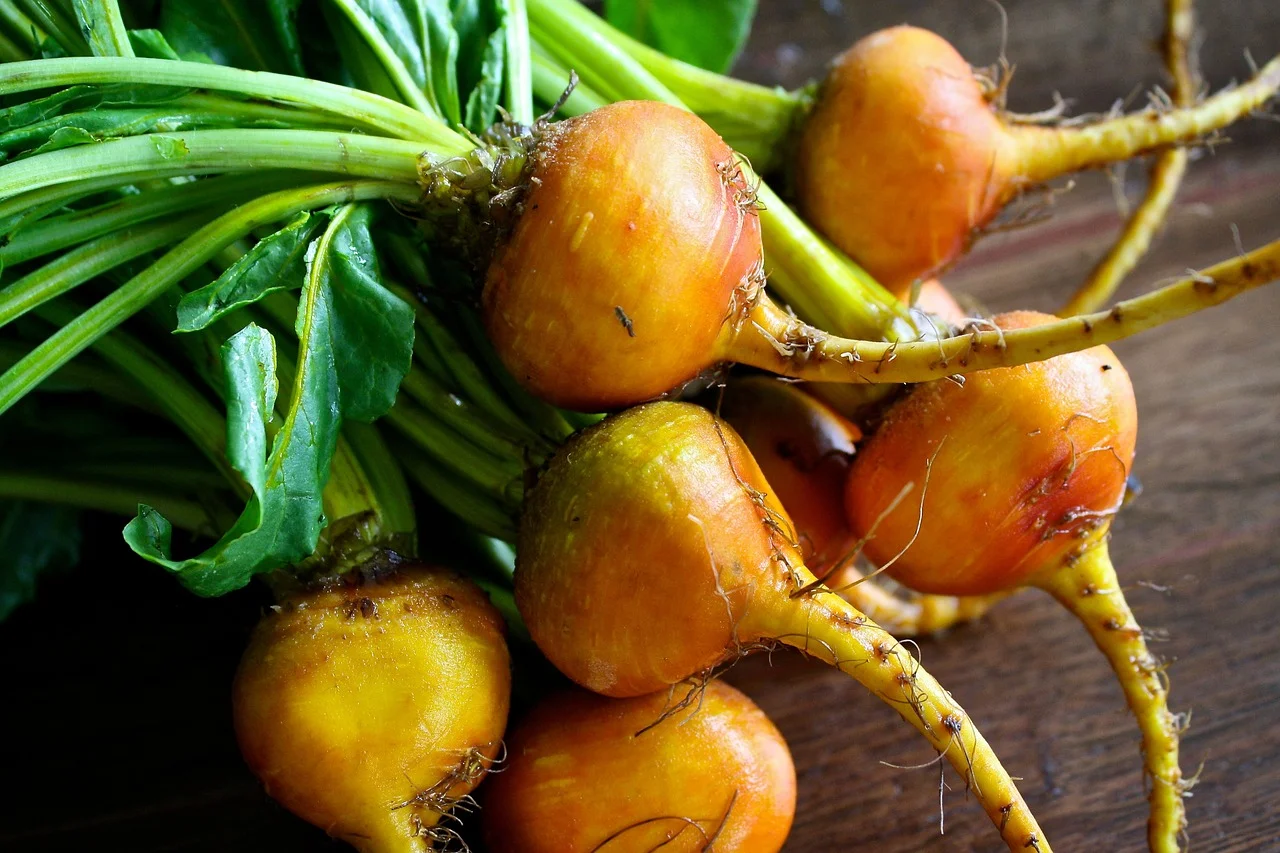 beets-1420381_1280.jpg