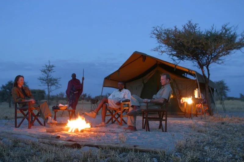 campfire wt.jpg