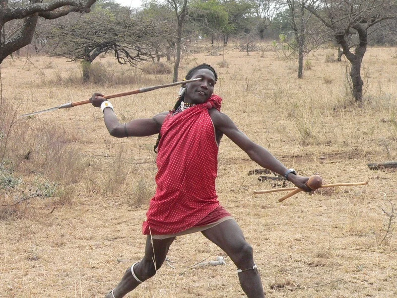spear throw wow.jpg