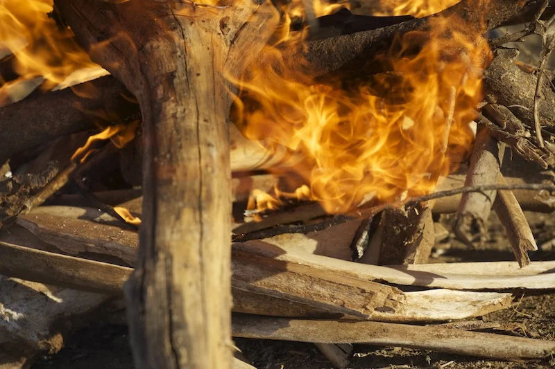 13-bones burning.jpeg