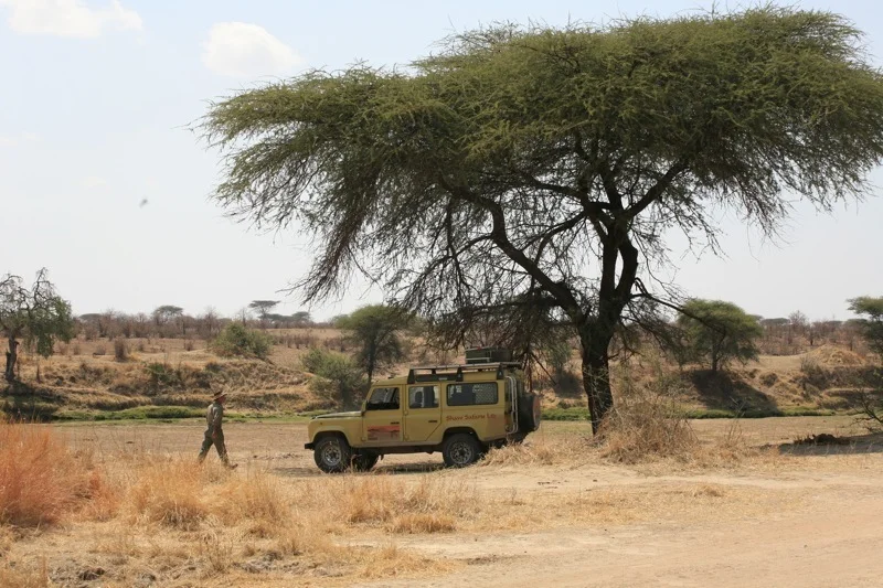 17 lunch stop, ruaha.jpg