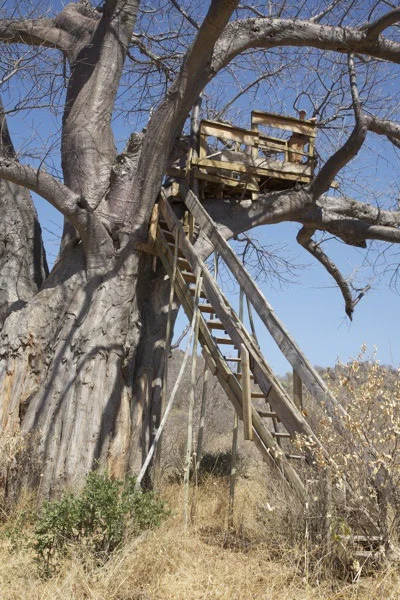 18 baobab lookout, ruaha np.jpg
