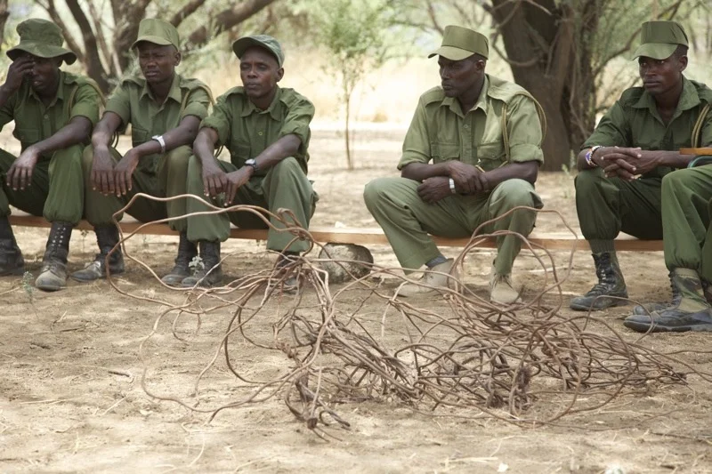 38 snare wire.jpg