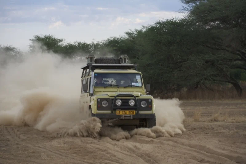 33 bull dust, rift valley.jpg