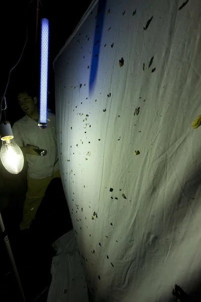 black light for insects 2.jpg