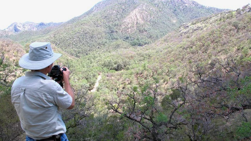 overlooking rincón de guadalupe.jpg