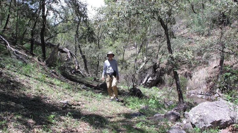 trail camera_location_maba_sra_bacadehuachi_01august2011.jpg