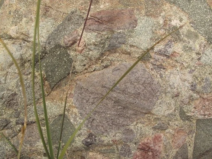 12 geology in palomas creek.jpg