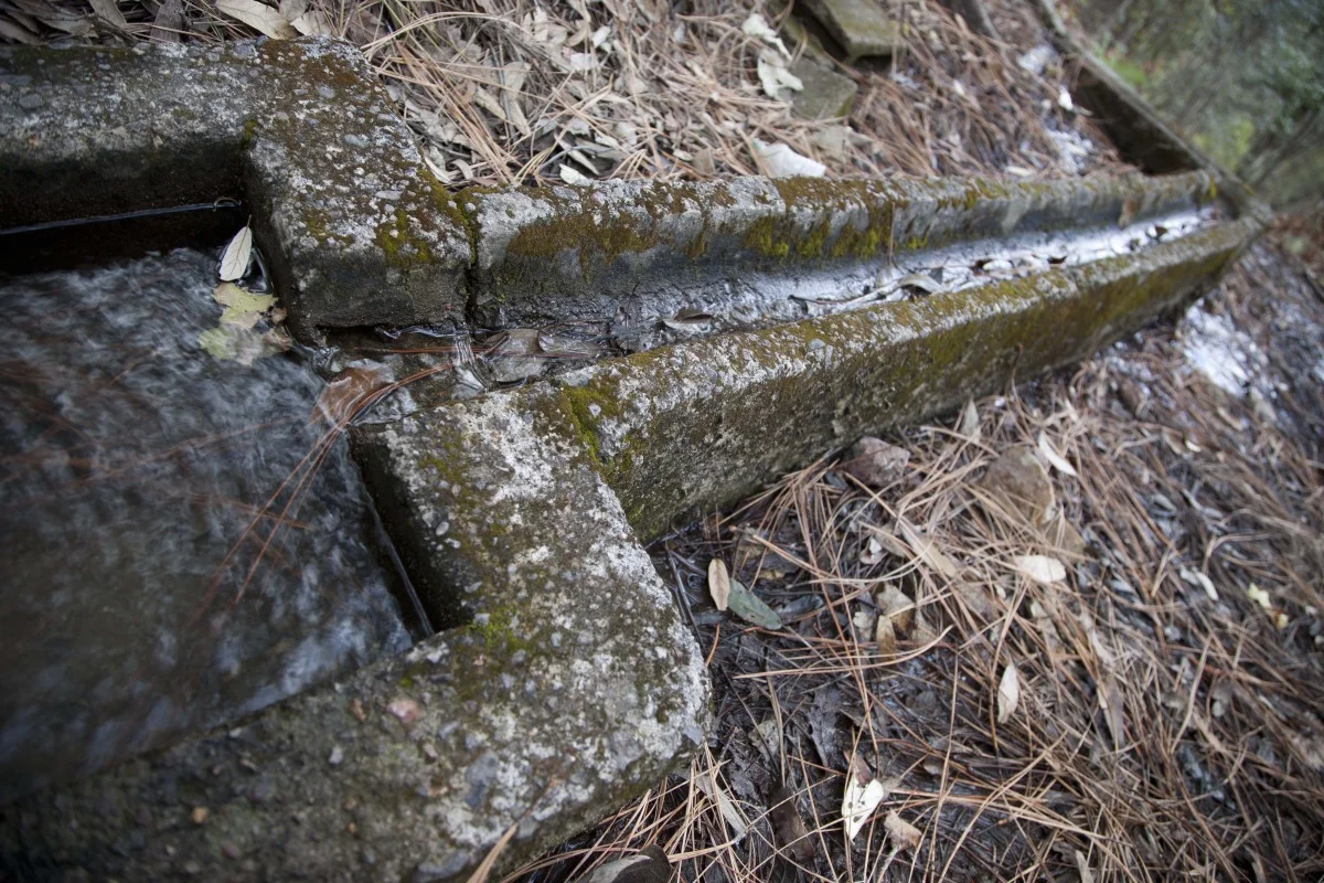 16-original spring - chris marzonia photo.jpg